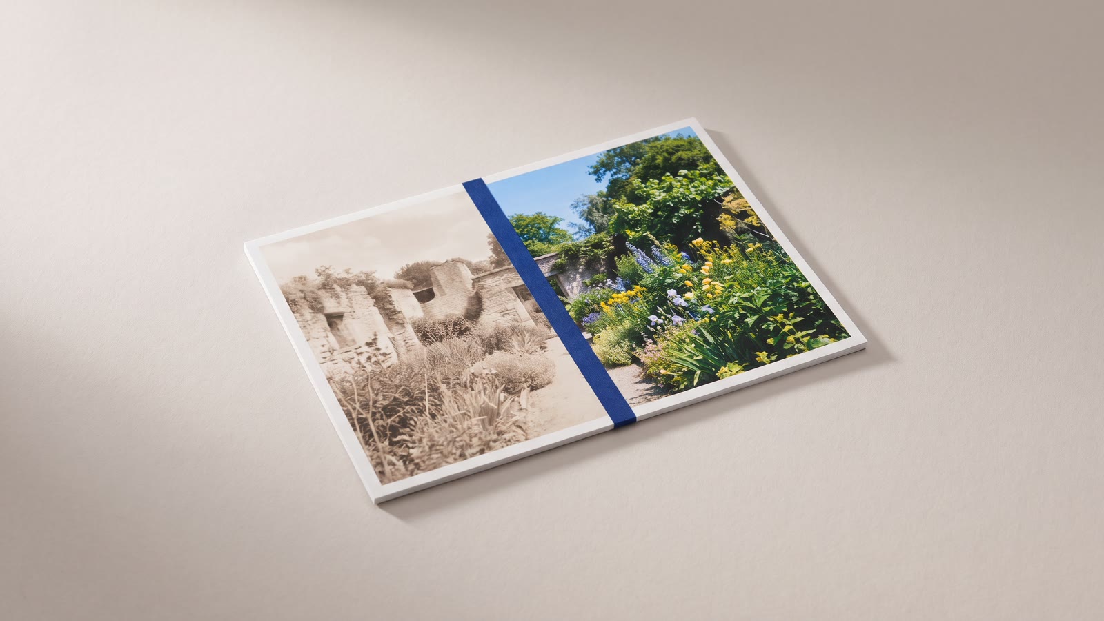 A photograph faded on one half and vivid on the other